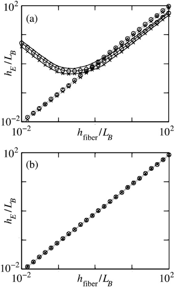 imgpub/029_figure1.jpg