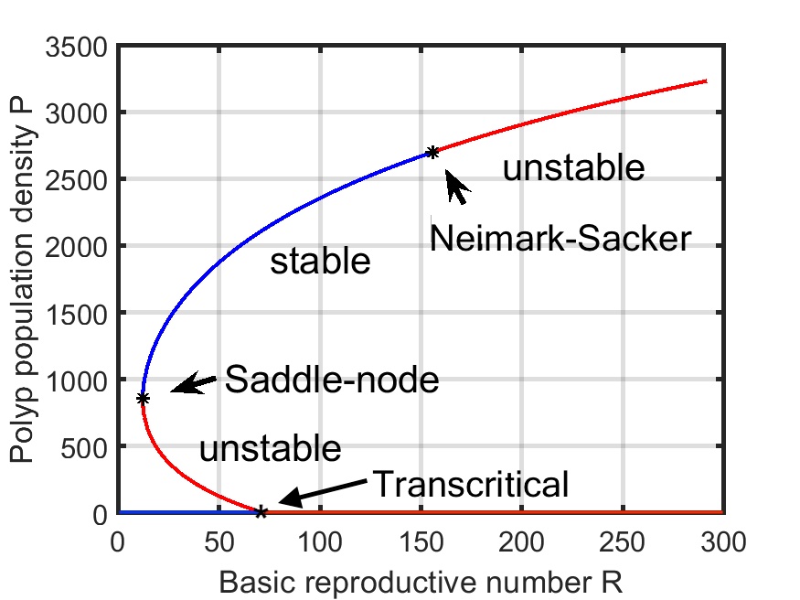 imgpub/074_bif_diagram4.jpg